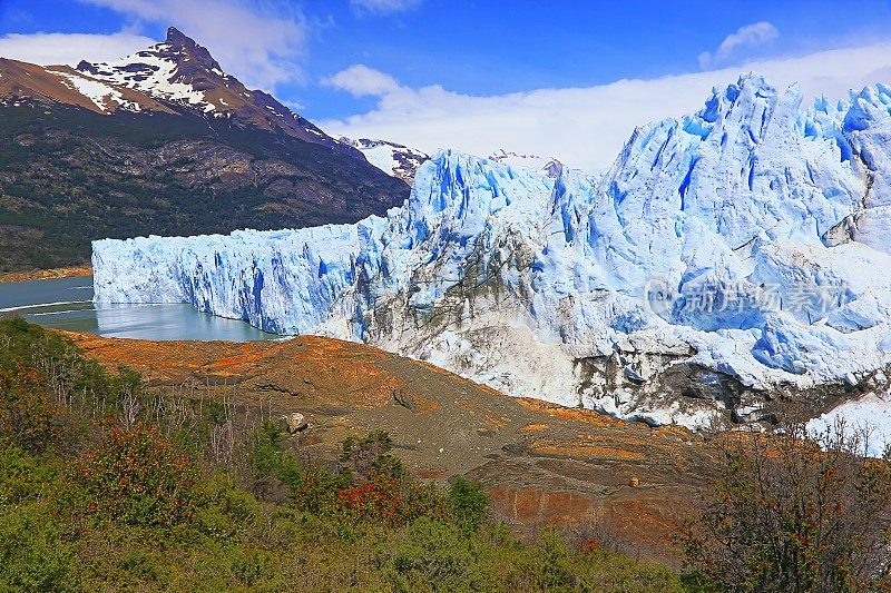 莫雷诺冰川和红色野花，阿根廷湖- El Calafate，巴塔哥尼亚